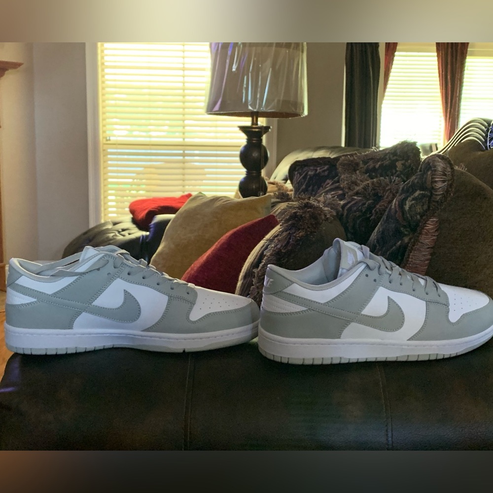 New Nike Dunks , never worn